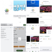Dynamic Organiztions